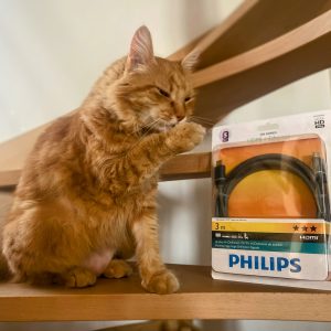 Câble HDMI + Ethernet Philips 200 séries 3m neuf sous blister