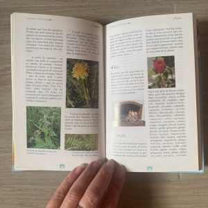 Mini-encyclopédie des trucs et astuces bio pour la maison – Image 6