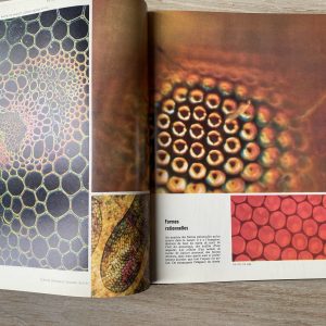 Le savant - Collection LIFE Le monde des sciences – Image 4