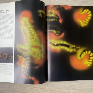 La cellule - Collection LIFE Le monde des sciences – Image 4