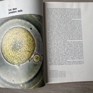 La croissance - Collection LIFE Le monde des sciences – Image 4